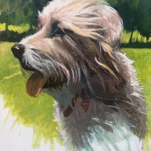 "Scruffy"